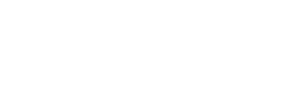 Noble Care Solutions - PNG Logo - White Version